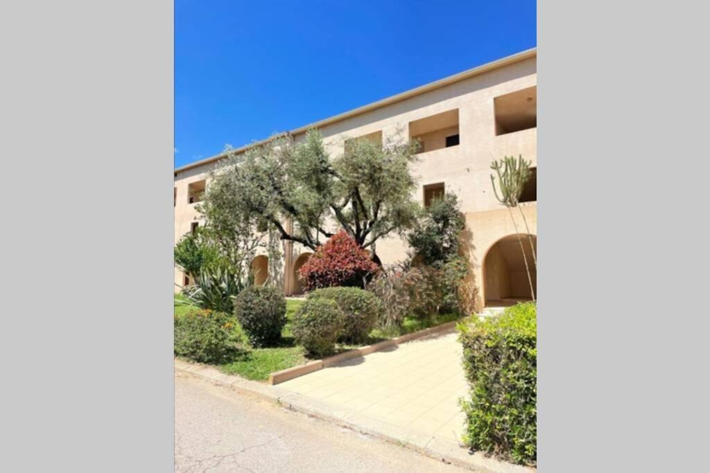 Studio 4 Personnes Bord De Mer Avec Piscine Wifi Cervione Exteriér fotografie