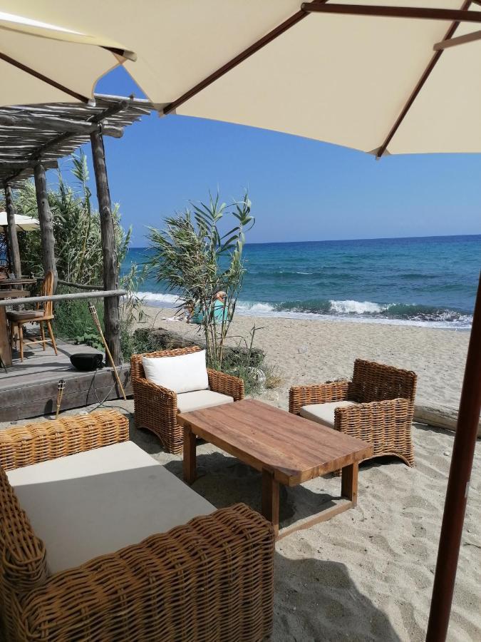 Studio 4 Personnes Bord De Mer Avec Piscine Wifi Cervione Exteriér fotografie